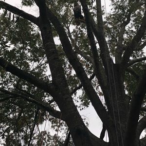 Meet your Posher, Candace